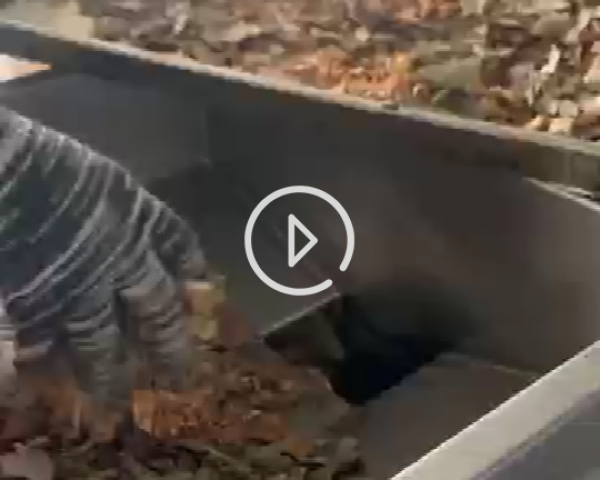 中藥粉碎機工作現(xiàn)場