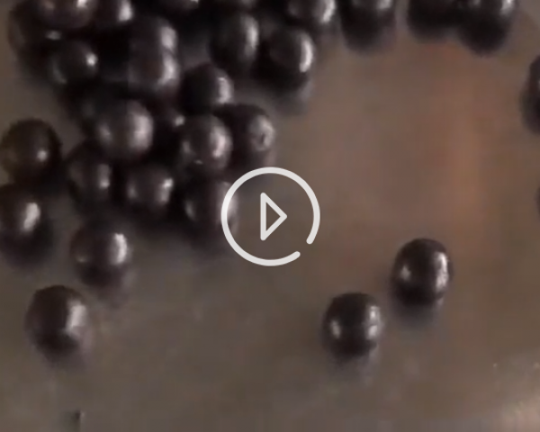 全自動大蜜丸機工作現(xiàn)場